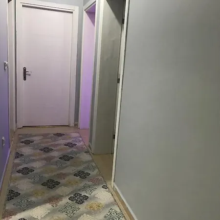 Concept 1 בורסה